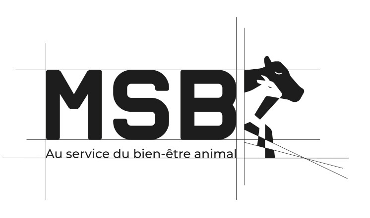 Construction du logo MSB